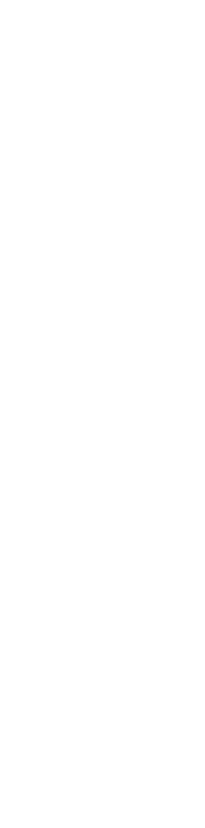今夜のレースはもう始まっている！