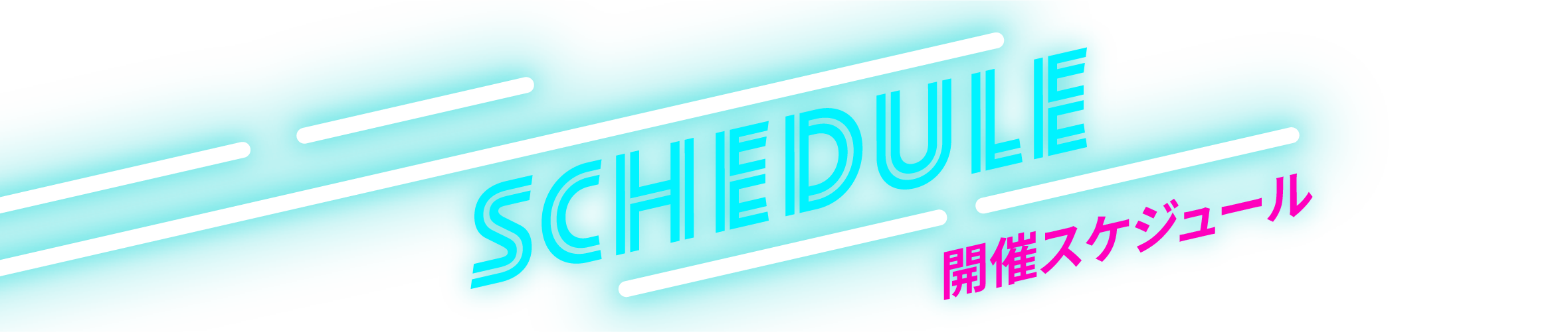 開催スケジュール